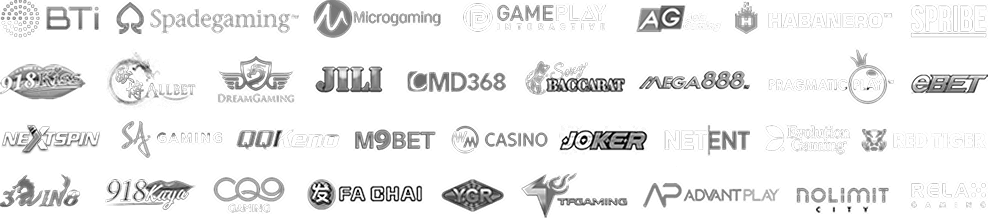 Gaming Providers